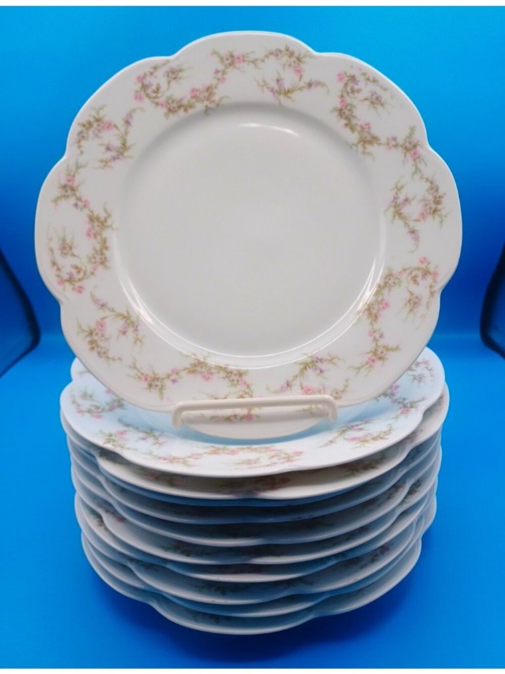 11 Antique Haviland Limoges Pink Roses & Vines Scalloped 9.5" Dinner Plates Set